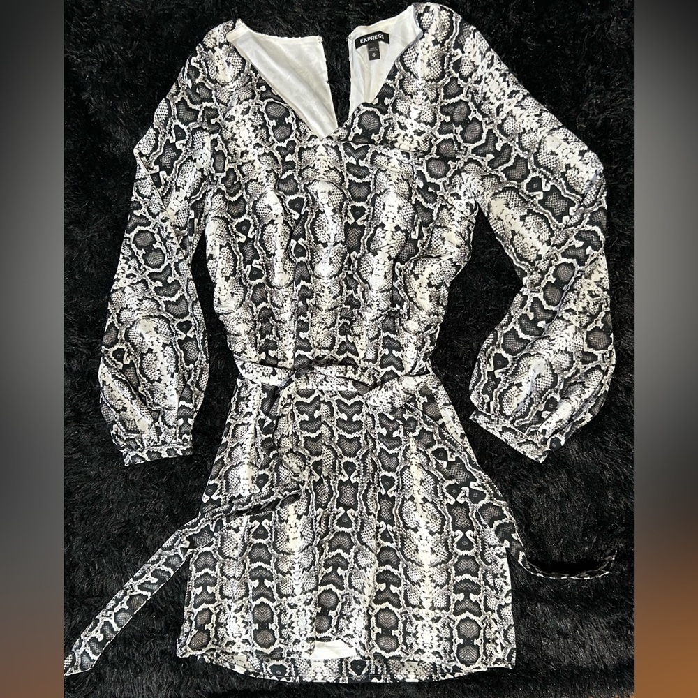 Express Snake Print Dress - Picture 3 of 6